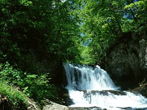 韓国・仁川の便利なビジネスホテル：東横INN仁川富平の魅力と詳細ガイド