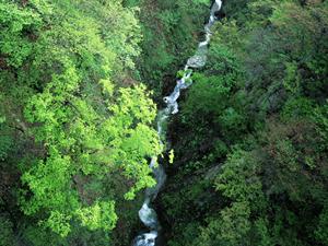 福島県白河市のビジネスホテル「東横INN新白河駅前」の全て：設備・特徴・予約情報を徹底解説