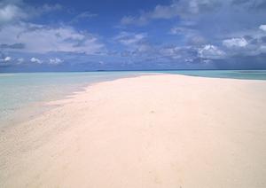 静岡駅から徒歩5分の快適滞在！【東横INN静岡駅北口】の魅力と最新情報