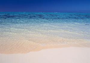 福生駅徒歩1分！東横INN福生駅前東口の魅力と特徴徹底ガイド