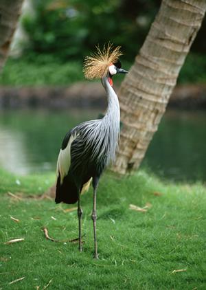 大阪市都島区に位置する東横INN京橋桜ノ宮の魅力と詳細情報