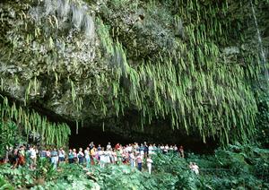 システムメンテナンスのお知らせ：サービス停止と復旧予定について