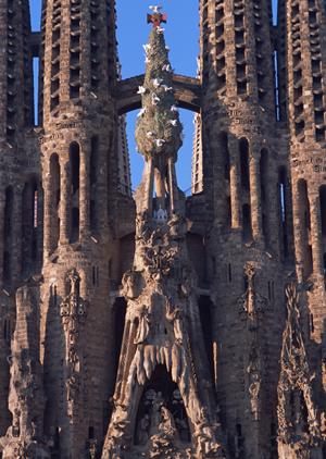 埼玉の体験農園完全ガイド2025：初心者から上級者まで楽しめるおすすめスポット