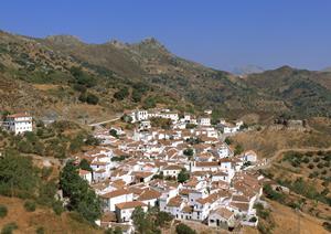 横浜スタジアム近くに位置する快適なビジネスホテル｜東横INN横浜スタジアム前1の魅力と詳細情報