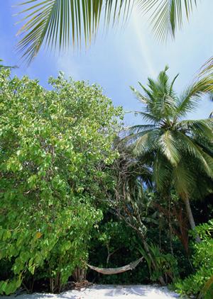 東横イン大阪梅田東：大阪市の快適なビジネスホテルと便利なアクセス情報