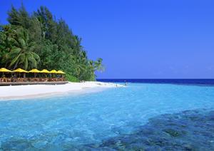 山口県岩国市にある東横INN岩国駅西口の魅力と特徴