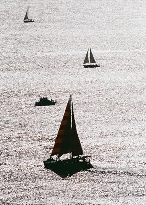 自転車盗難保険のすぽくる